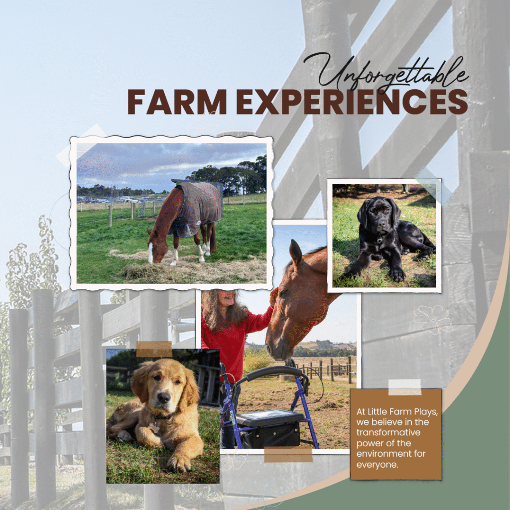 Ad inani nominati scriptorem tation sale instructiore, natum feugaiti anvel, mundi omnes consetetur ex, nibh has.