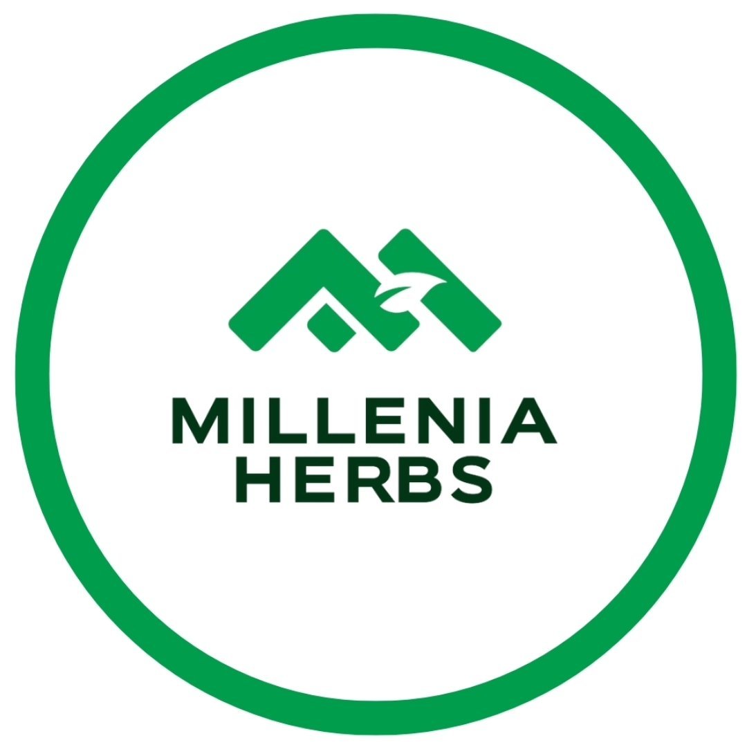 440752232_461867533190058_1148020778057238829_n